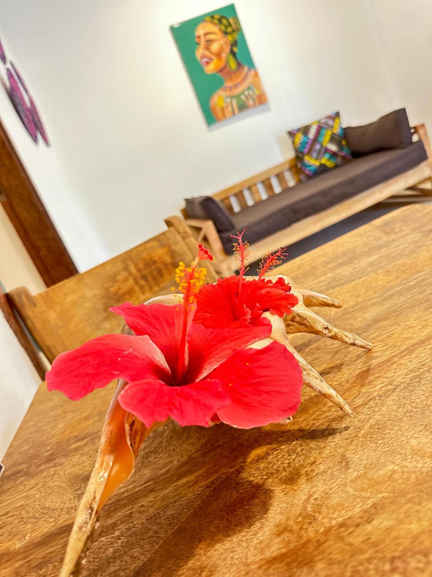 Sand Beach Boutique Apartments Bwejuu Eksteriør bilde